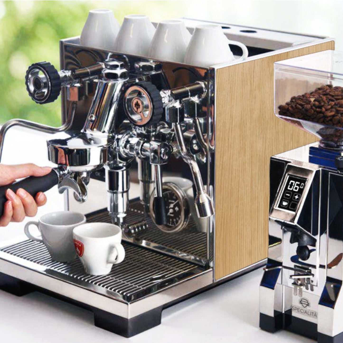 Eureka Costanza R - Hrast